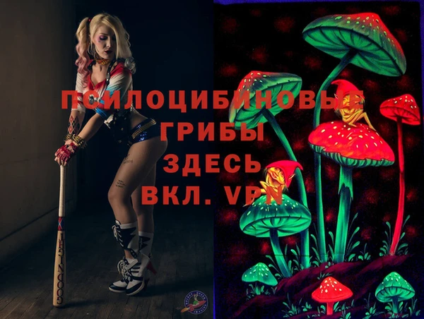 дживик Беломорск
