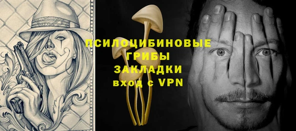 прущие крисы Белокуриха