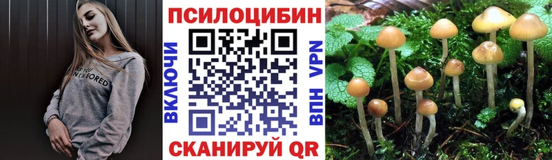 купить   Владивосток  Галлюциногенные грибы Psilocybine cubensis 